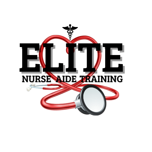Elite Nurse Aide Training logo designed by TBS Web Design